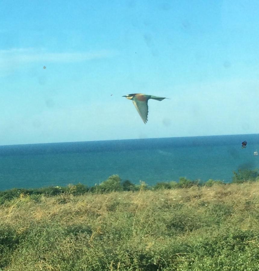 Agriturismo La Costa dei Trabocchi Torino di Sangro Esterno foto