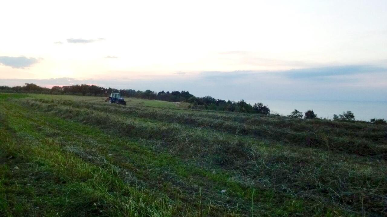 Agriturismo La Costa dei Trabocchi Torino di Sangro Esterno foto