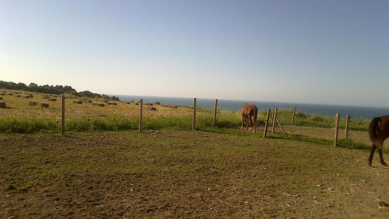 Agriturismo La Costa dei Trabocchi Torino di Sangro Esterno foto